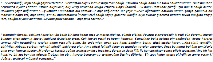 Evliya Çelebi Balık ve Hamsi