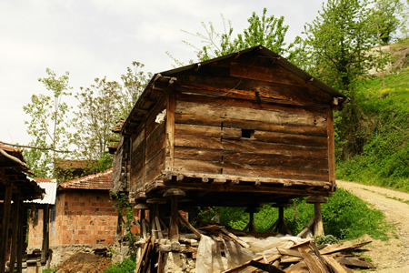 Mavi Yeşil